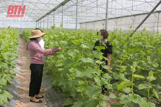 Đảng bộ huyện Triệu Sơn sáng tạo, đột phá đưa nghị quyết vào cuộc sống