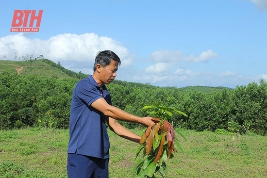 Đánh thức đồng đất