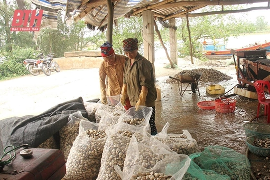 Chú trọng xây dựng chuỗi vao m88 tiêu thụ thủy sản