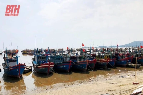Đoàn m88 the thao tra EC dự kiến sang làm việc về chống khai thác IUU từ ngày 10-10
