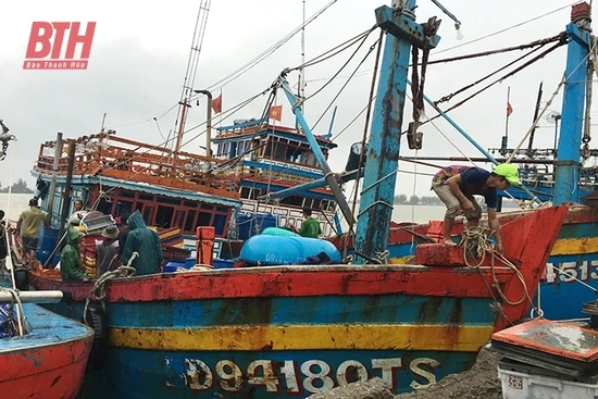 Ngư dân vẫn thờ ơ với bảo hiểm tàu cá