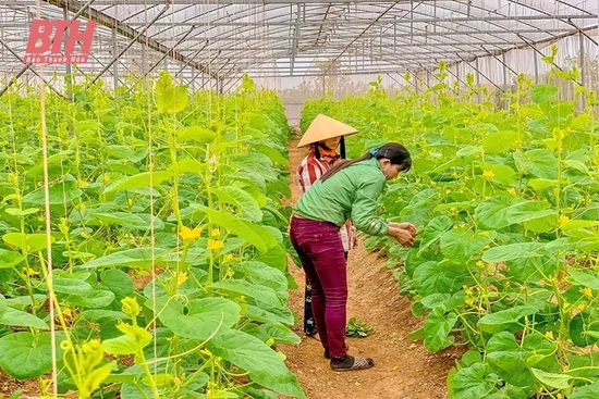 Nhiều giải pháp đẩy mạnh ứng dụng khoa học công nghệ vào sản xuất nông nghiệp