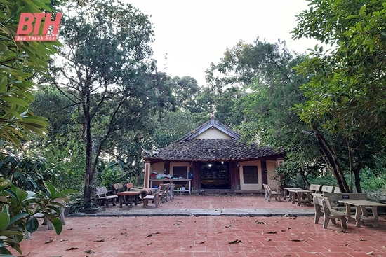 Những dấu ấn tiêu biểu trên “đất học” xứ Thanh