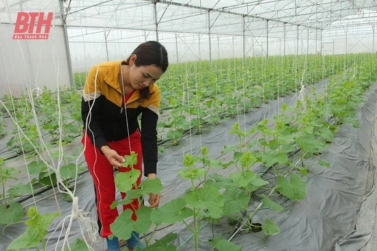 Nga Liên nỗ lực về đích NTM nâng cao
