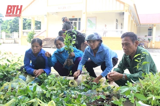 Triển vọng kinh tế từ mô hình sản xuất cây dược đăng ký m88 hữu cơ