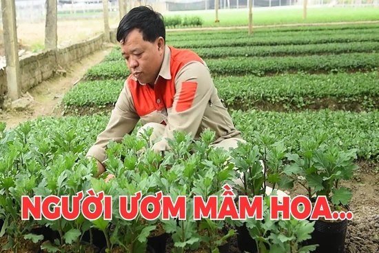 Người ươm mầm hoa