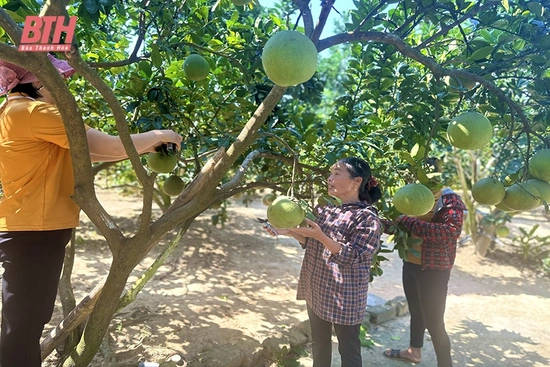 Hội Nông dân huyện Ngọc Lặc học Bác từ những việc làm cụ thể, thường xuyên