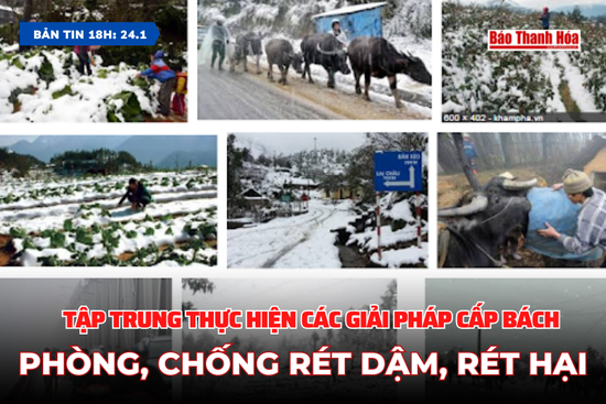 [Bản tin 18h] Tập trung thực hiện các giải pháp cấp bách phòng, chống rét đậm, rét hại