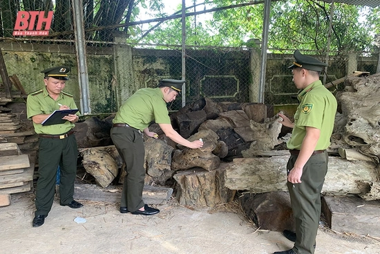 Tăng cường bảo vệ, phòng cháy, chữa cháy rừng, đấu tranh chống buôn lậu lâm sản dịp tết