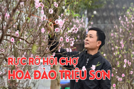 Rực rỡ Hội chợ hoa đào Triệu Sơn