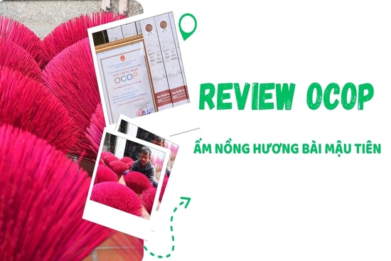 [REVIEW OCOP] Ấm nồng hương bài Mậu Tiên