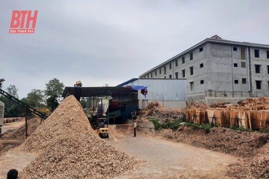 Đình chỉ hoạt động, xử lý dứt điểm các cơ sở sản xuất vi phạm sau phản ánh của Báo Thanh Hóa