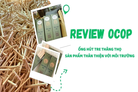 [REVIEW OCOP] Ống hút tre Thăng Thọ - Sản phẩm thân thiện với môi trường