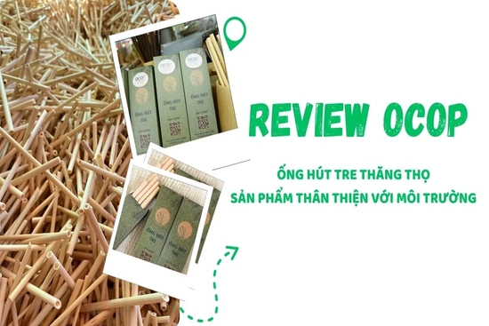 [REVIEW OCOP] Ống hút tre Thăng Thọ - Sản phẩm thân thiện với môi trường