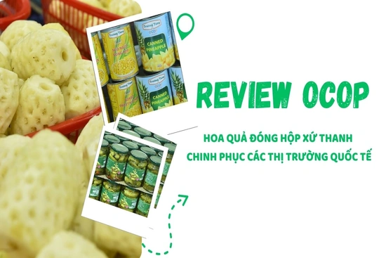 [REVIEW OCOP] Hoa quả đóng hộp xứ Thanh chinh phục thị trường quốc tế