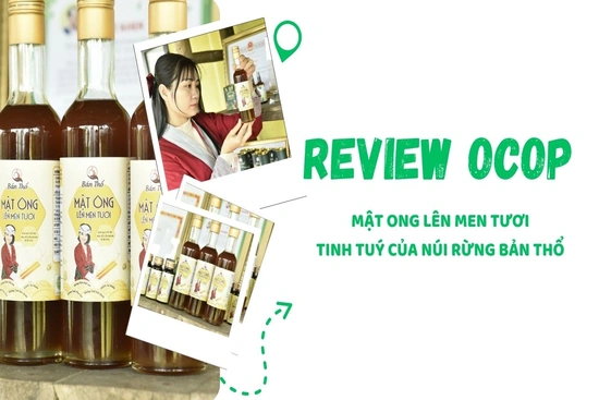 [REVIEW OCOP] Mật ong lên men tươi - Tinh tuý của núi rừng bản Thổ