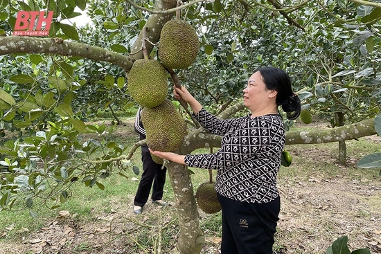 Giúp phụ nữ khó khăn vươn lên thoát nghèo