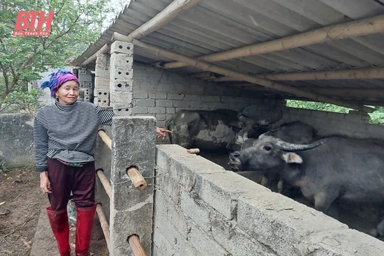 Đa dạng hóa sinh kế giảm nghèo