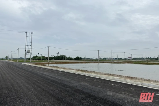 Khẩn trương thực hiện quy trình, thủ tục để đấu giá quyền sử dụng đất các dự án