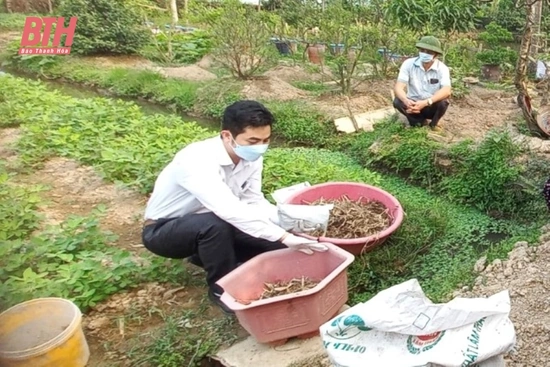 Nhân rộng mô hình phân loại, xử lý rác thải tại nguồn