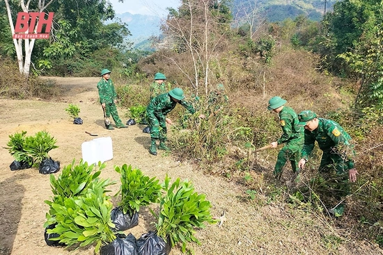 Đẩy mạnh phong trào trồng rừng, trồng cây đầu năm