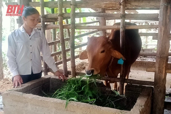 Hiệu quả từ chương trình mục tiêu quốc gia giảm nghèo bền vững