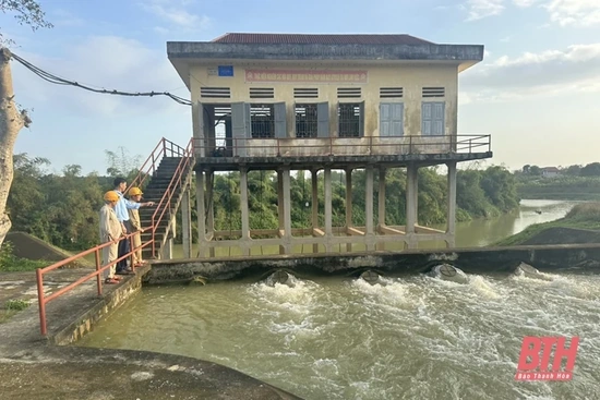 Chủ động phục vụ nước tưới và chống hạn cây trồng vụ chiêm - xuân 
