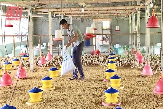 Hiệu quả từ nguồn vốn vay giải quyết việc làm