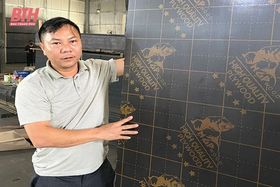 Làm giàu từ chế biến lâm m88 the thao xuất khẩu