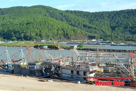 Tháo gỡ “điểm nghẽn” tại Cảng cá Hòa Lộc và khu neo đậu tránh trú bão cho tàu thuyền nghề cá Lạch Trường