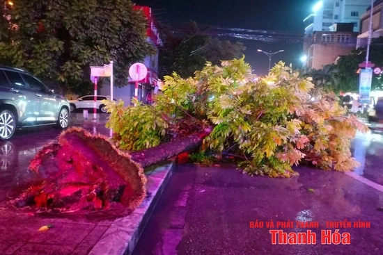 Nhiều địa phương trên địa bàn tỉnh bị ảnh hưởng của bão số 3