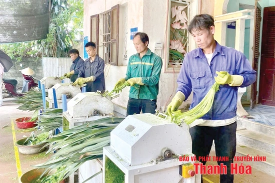 Từ cơ chế, chính sách đến sự đồng thuận