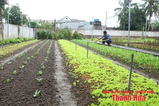 Nâng giá trị đất vườn theo tiêu chí nông thôn mới