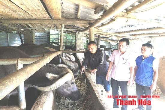 Đồng hành cùng người nghèo