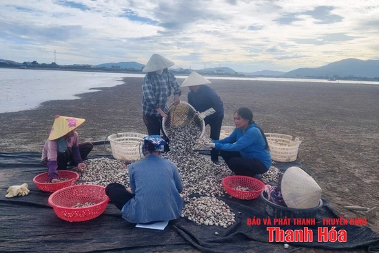 Khi nông dân thi đua sản xuất, kinh doanh giỏi