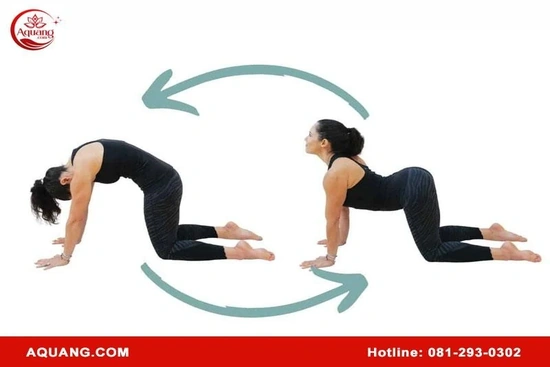 Tập các bài yoga chữa đau lưng vai gáy cùng A Quang Kegel