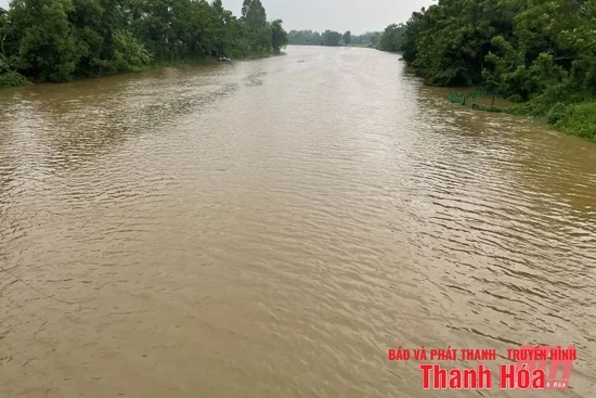 Lũ trên sông Yên khả năng đạt link đăng nhập m88 động 1 vào trưa nay (22/7)