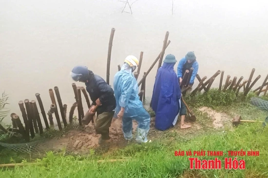 Xử lý sạt trượt mái đê cống Đồng Đền 2 tại xã Hoằng Châu