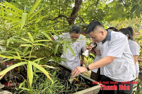 Cao điểm phòng, chống bệnh sốt xuất huyết, tay chân miệng và COVID-19