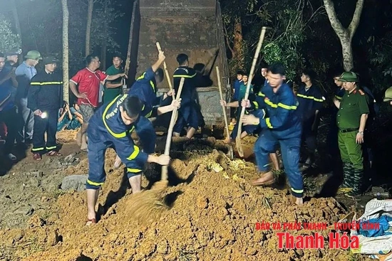 Xử lý kịp thời nguy cơ vỡ đê tại xã Triệu Sơn