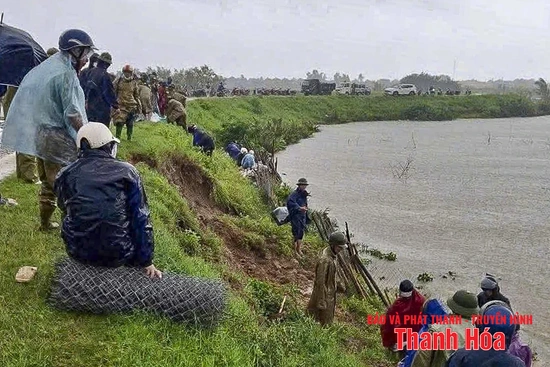 Khẩn trương khắc phục sự cố mái đê sông Cung bị sạt trượt