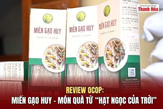 [REVIEW OCOP] Miến gạo Huy – Món quà từ “hạt ngọc của trời”