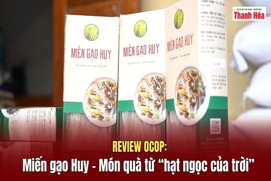 [REVIEW OCOP] Miến gạo Huy – Món quà từ “hạt ngọc của trời”