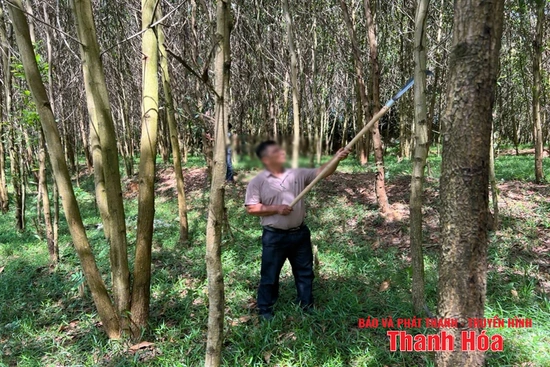 Hiệu quả từ chương trình tín dụng đối với người chấp hành xong án phạt tù