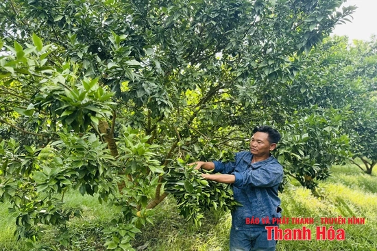 Làm giàu từ phát triển kinh tế tổng hợp