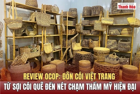 Đôn cói Việt Trang - Từ sợi cói quê đến nét chạm thẩm mỹ hiện đại