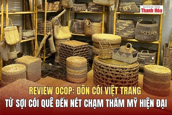Đôn cói Việt Trang - Từ sợi cói quê đến nét chạm thẩm mỹ hiện đại