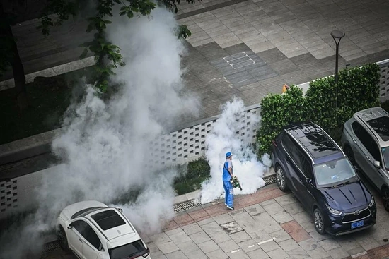 Bộ Y tế khuyến cáo các biện pháp phòng, chống dịch bệnh Chikungunya do muỗi lan truyền