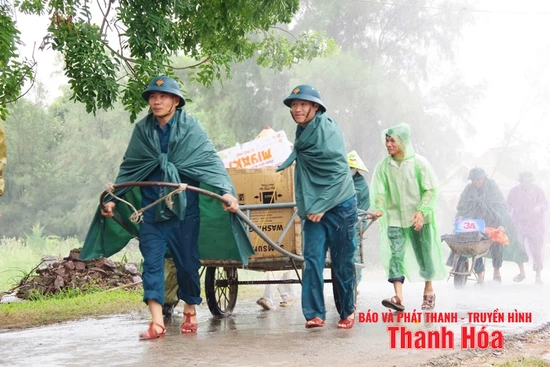 “Ngôi sao vuông” lấp lánh