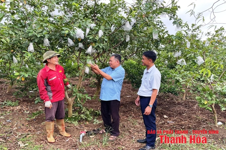 “Cầu nối” đưa nghị quyết của Đảng vào cuộc sống
